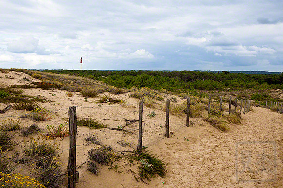 Dunes and lighthouse, Cap Ferret, Aquitaine, France
