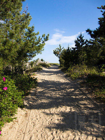 Dune entrance 2
