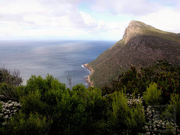 Cape National Park Point, South Africa