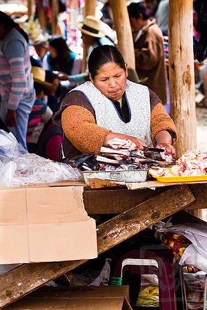 Fishmonger, Chincheros Market, Peru