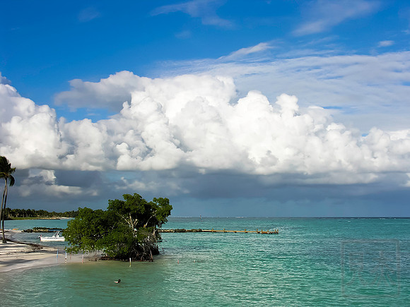 Beach, Dominican Republic