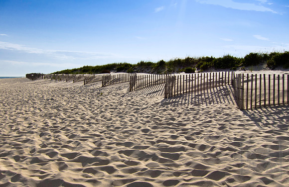 Dune