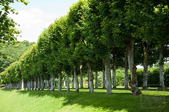 Villandry passage, Chateau Villandry, France