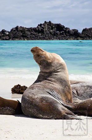 Sunning