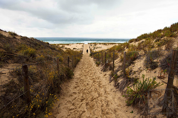 Dune path, Bay of Biscay, France