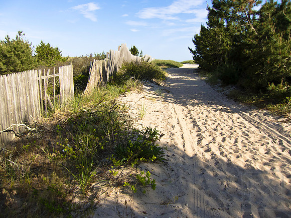 Dune entrance 5