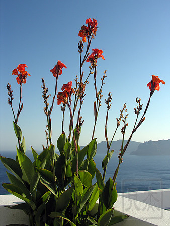 Louloudia, Caldera, Santorini, Greece