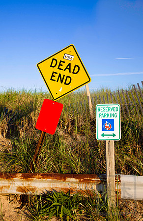 Dune lot, Hamptons, Long Island, New York