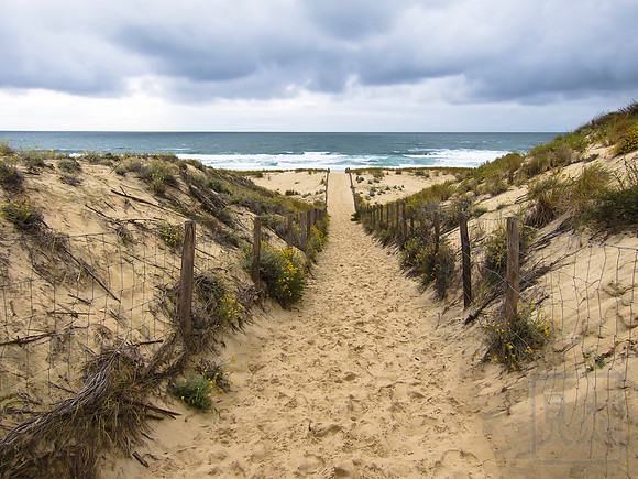 Path to the Beach, Cap Ferret, France