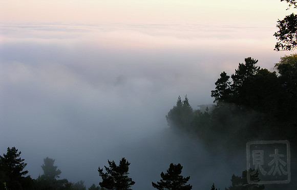 Evening Fog, Big Sur, California