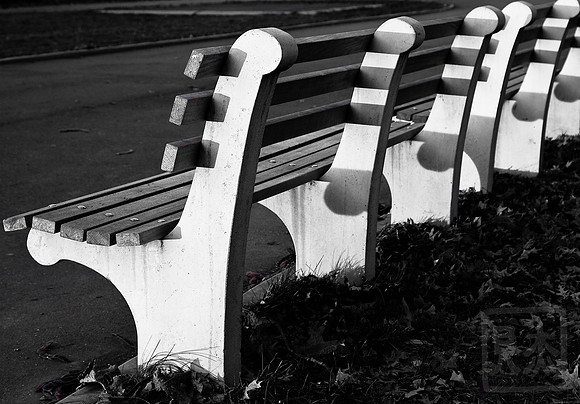 Park Bench
