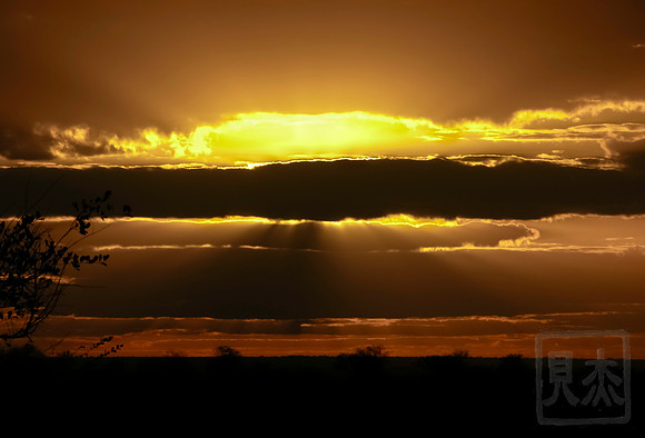 Bush Sunset, Lebombo, Kruger Park, SA