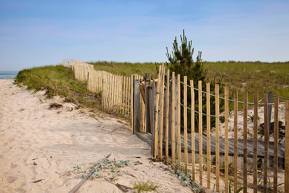 Dune fence, Hamptons, Long Island, New York