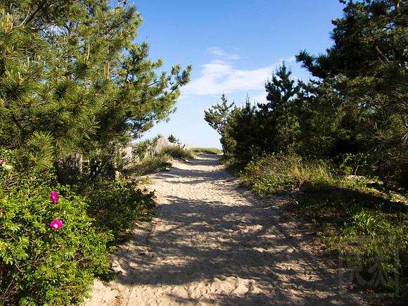 Dune entrance 1