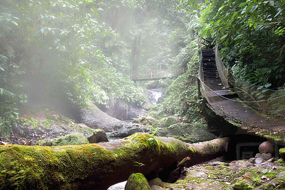 Rain forest trail, mountains, Costa Rica, Pacific Coast