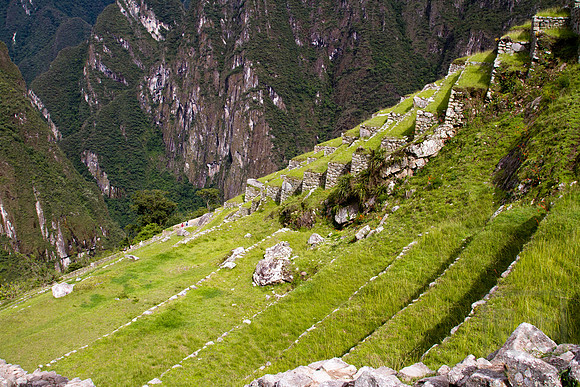 Terraces, Machu Picchu, Peru