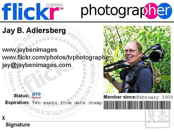 Flickr membership card