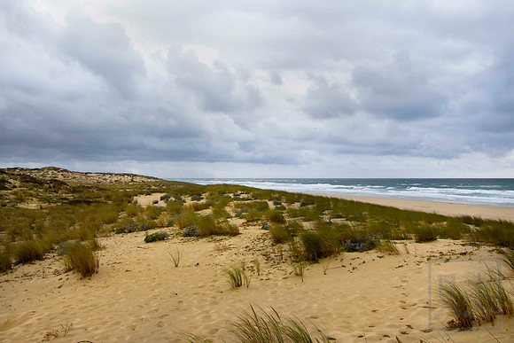 Dune, Cap Ferret, France