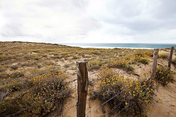 Bay of Biscay, Atlantic Ocean, France
