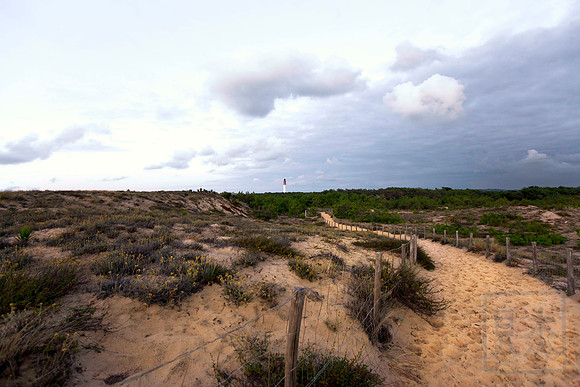 Path home, Cap Ferret, Aquitaine, France