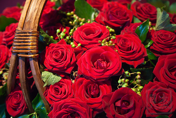 Roses, Château de Villandry, France