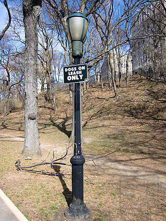Dogs on Leach, Riverside Park, New York City