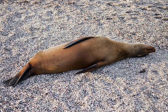 In repose
