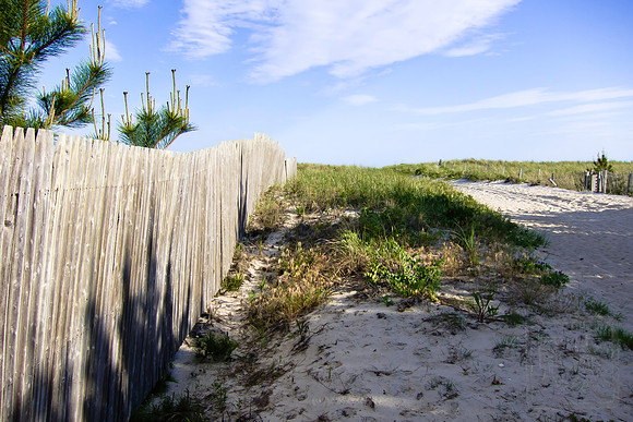 Dune entrance 7