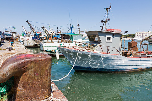 Fishing boats, Trani