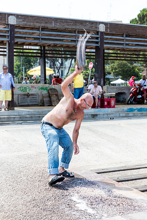 Octopus tenderizing, Bari Market