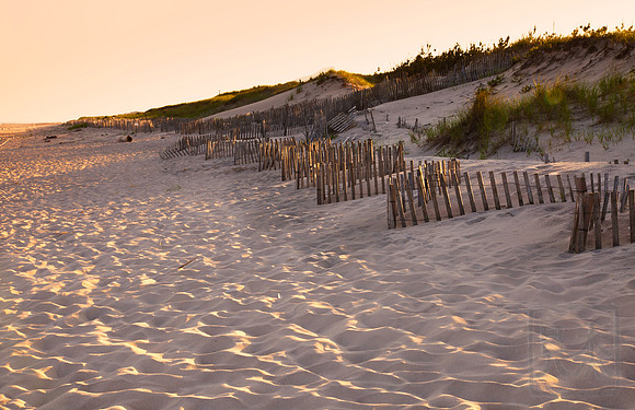 Hampton dunes and fence