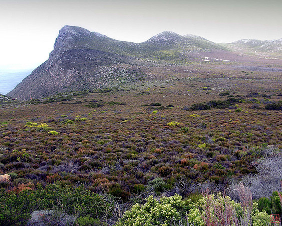 Cape National (Agulhas) Park, South Africa