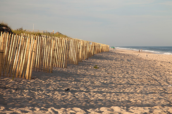 Hampton dune fence