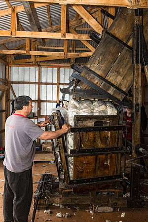 Packaging the wool for shipment