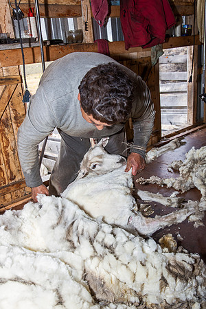 I was amazed by the mass of the wool