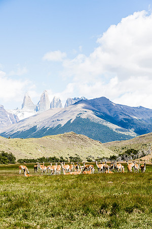 Classic vision of Patagonia