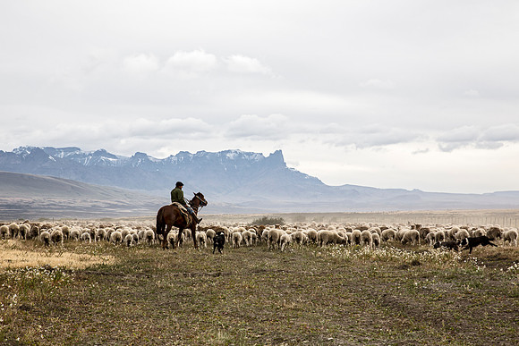 The Andes range ends as the gaucho's day begins