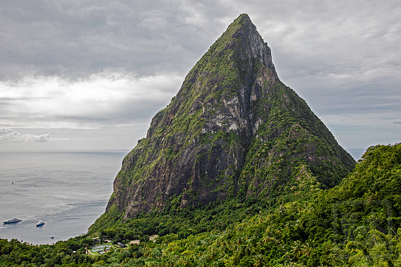 Large piton, St. Lucia
