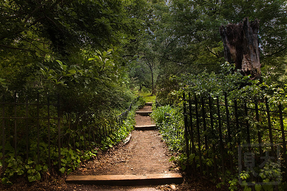 Path, Riverside Park, New York